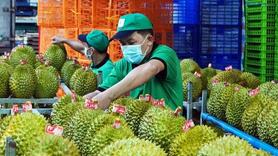 Xuất khẩu rau quả tháng 8 tăng trưởng mạnh, Việt Nam là Top 3 thị trường cung cấp tại Trung Quốc