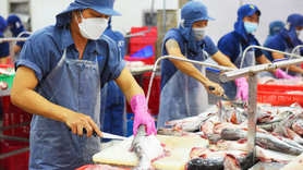 RCEP tạo 'làn gió mới' cho xuất khẩu cá tra Việt Nam