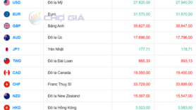 Tỷ giá USD hôm nay 6/11/2025: Giảm trên thị trường tự do