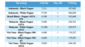 Giá tiêu hôm nay 10/11/2025: Thấp nhất 145.000 đồng/kg