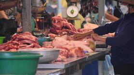 Chủ động nguồn cung thịt lợn cho cao điểm Tết Bính Ngọ 2026