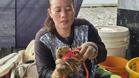 Xây dựng chuỗi liên kết, nâng tầm thương hiệu cua Cà Mau