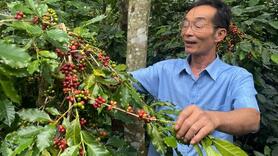 Đòn bẩy công nghệ đưa hạt cà phê của HTX vươn tầm quốc tế