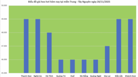 Giá heo hơi hôm nay 20/11/2025: Tiếp đà tăng giá