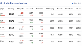 Giá cà phê hôm nay 20/11/2025: Tiếp tục tăng mạnh