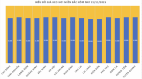 Giá heo hơi hôm nay 21/11/2025: Tăng mạnh, miền Bắc lập đỉnh