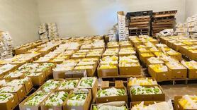 Chuối Việt Nam rộng cửa xuất ngoại nhờ 'bắt tay' nhà phân phối Mỹ