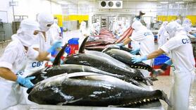 Tận dụng Hiệp định CEPA: Cá ngừ rộng cửa vào Trung Đông qua UAE