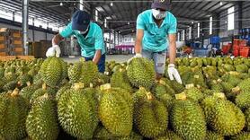 Xuất khẩu rau quả lập kỷ lục, ước cả năm đạt 8,5 tỷ USD