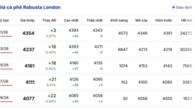 Giá cà phê hôm nay 4/12/2025: Tiếp tục giảm sâu