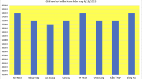 Giá heo hơi hôm nay 4/12/2025: Miền Bắc chạm mốc 60.000 đồng/kg