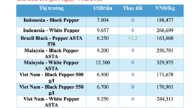 Giá tiêu hôm nay 4/12/2025: Tiếp tục giảm mạnh cục bộ