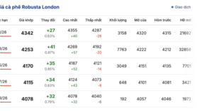 Giá cà phê hôm nay 5/12/2025: Tiếp tục rớt giá sâu