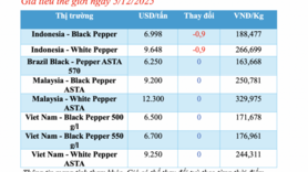 Giá tiêu hôm nay 5/12/2025: Tăng vài nơi
