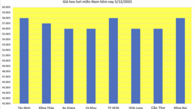 Giá heo hơi hôm nay 5/12/2025: Tiếp tục lập đỉnh mới