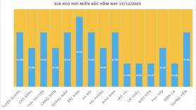Giá heo hơi hôm nay 17/12/2025: Tiếp tục lập đỉnh mới 66.000 đồng/kg