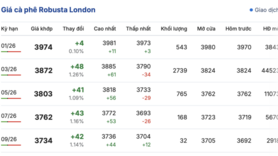 Giá cà phê hôm nay 25/12/2025: Bật tăng mạnh mẽ