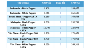 Giá tiêu hôm nay 26/12/2025: Tăng nhẹ 500 - 1.000 đồng
