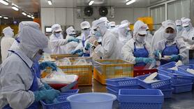 Đồng Tháp đặt mục tiêu năm 2026 công nghiệp tăng 12,5%, xuất khẩu 10 tỷ USD