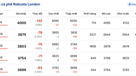 Giá cà phê hôm nay 6/1/2026: Tăng nhẹ 100 đồng/kg