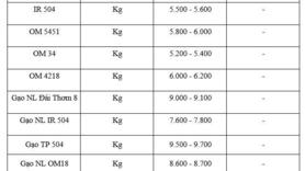 Giá lúa gạo hôm nay ngày 7/1/2026: Thị trường lặng sóng, giá ổn định
