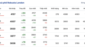 Giá cà phê hôm nay 7/1/2026: Giảm nhẹ 500 đồng/kg