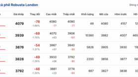 Giá cà phê hôm nay 8/1/2026: Tăng thêm 1.000 đồng/kg
