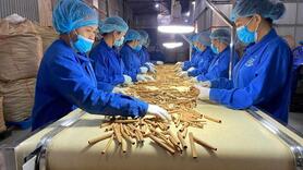 Công nghệ xanh ‘mở lối’ tăng trưởng bền vững trong trật tự kinh tế mới