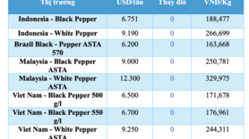Giá tiêu hôm nay 9/1/2026: Cao nhất 152.500 đồng/kg