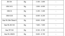 Giá lúa gạo hôm nay ngày 9/1: Gạo thơm dẻo neo cao, lúa tươi vững giá
