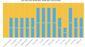 Giá heo hơi hôm nay 16/1/2026: Miền Trung, miền Nam tiếp tục tăng