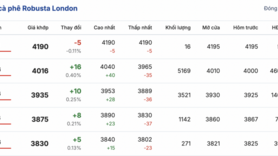 Giá cà phê hôm nay 20/1/2026: Cao nhất 99.000 đồng/kg