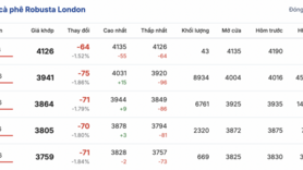 Giá cà phê hôm nay 21/1/2026: Tăng nhẹ 500 - 600 đồng/kg