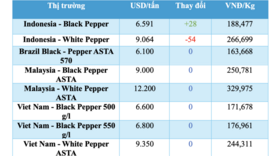 Giá tiêu hôm nay 21/1/2026: Giữ đà ổn định
