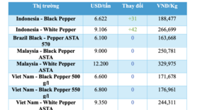 Giá tiêu hôm nay 23/1/2026: Bật tăng trở lại