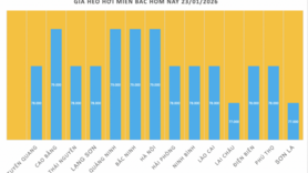 Giá heo hơi hôm nay 23/1/2026: Lên mốc 79.000 đồng/kg