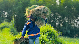 Quảng Ngãi: Thủ phủ kiệu Long Yên thắng lớn vụ Tết