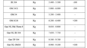 Giá lúa gạo hôm nay ngày 4/2/2026: Gạo xuất khẩu tăng, lúa biến động
