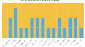 Giá heo hơi hôm nay 5/2/2026: Giảm diện rộng