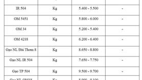 Giá lúa gạo hôm nay ngày 5/2/2026: Gạo thơm neo cao