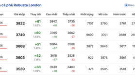 Giá cà phê hôm nay 6/2/2026: Tiếp tục giảm nhẹ