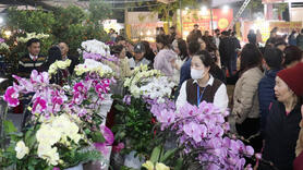 Hàng Việt lan tỏa về ngoại thành, giữ ổn định thị trường tết Bính Ngọ