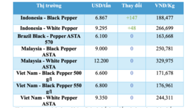 Giá tiêu hôm nay 11/2/2026: Tăng nhẹ 500 đồng/kg