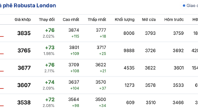 Giá cà phê hôm nay 13/2/2026: Tăng nhẹ