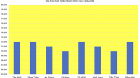 Giá heo hơi hôm nay 13/2/2026: Thị trường trầm lắng