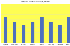 Giá heo hơi hôm nay 31/12/2025: Diễn biến trái chiều