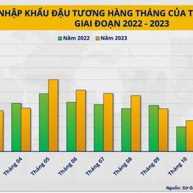 Trung Quốc ồ ạt nhập đậu tương, giá nguyên liệu thức ăn chăn nuôi sẽ tăng mạnh?