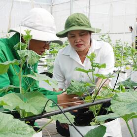 Phát triển đội ngũ khuyến nông chuyên sâu, đẩy mạnh ứng dụng công nghệ số