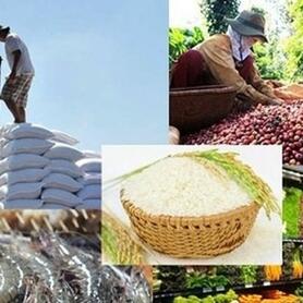 Xuất khẩu nông, lâm, thủy sản 5 tháng đầu năm tăng 15,1%, châu Á là thị trường lớn nhất