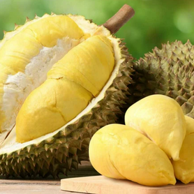 Chuẩn hóa kiểm soát an toàn thực phẩm cho sầu riêng tươi xuất khẩu